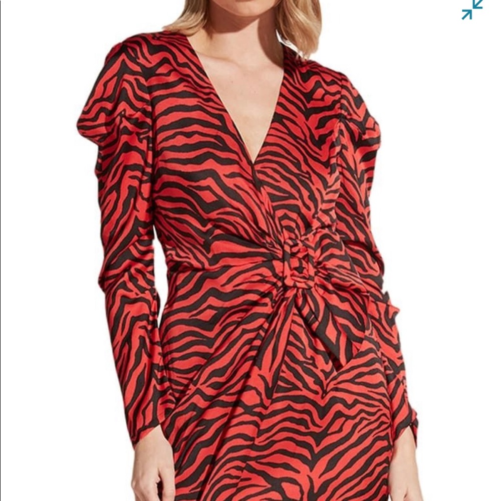 Zebra print dress